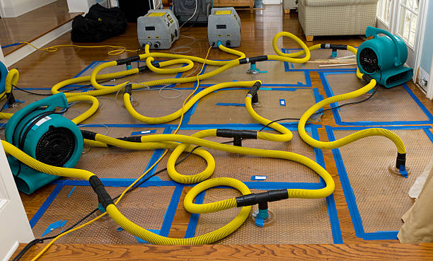 Professional Burst Pipe Water Damage technician working in Brook Park, MN